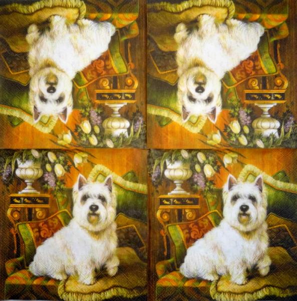 910 Hunde - 3-lagig - Specials